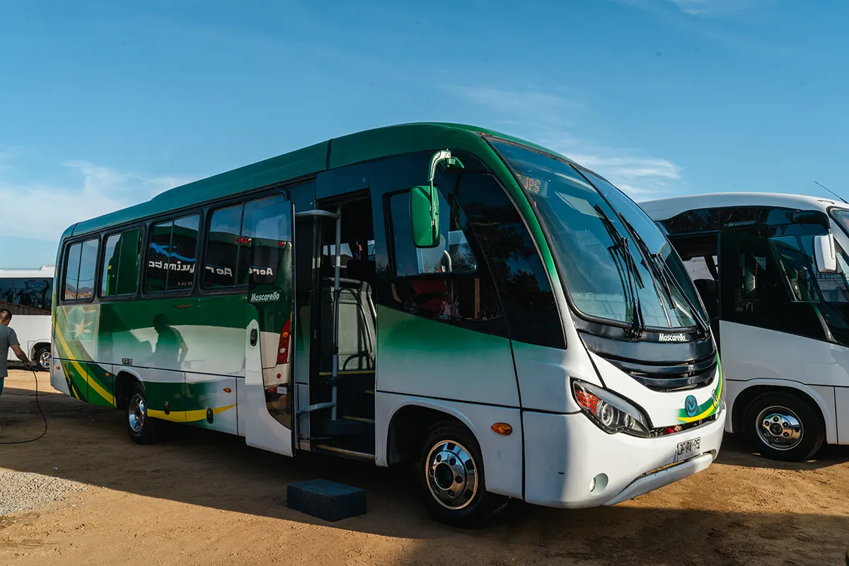 Bus