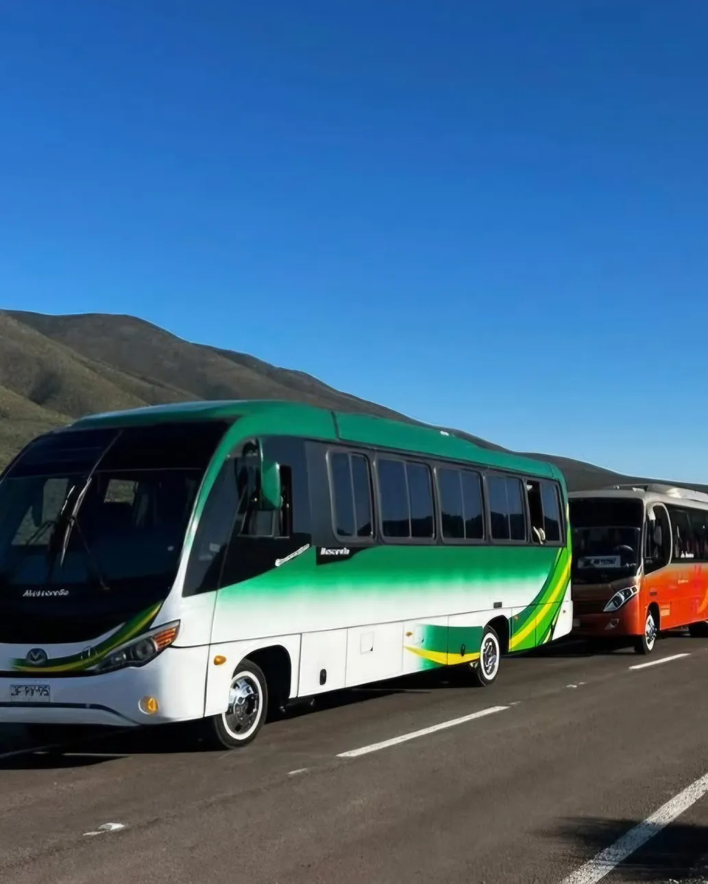 Salidas a terreno